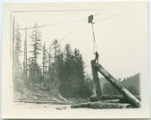 Skyline logging