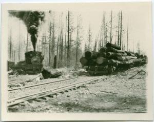 Railway in logging camp