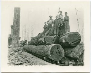 Loading logs on railway cars