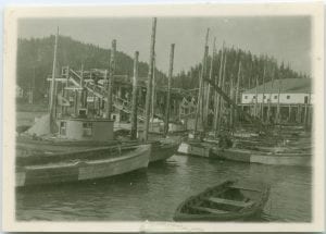 Gathering of boats at cannery