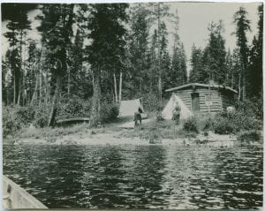 Log cabin in bush