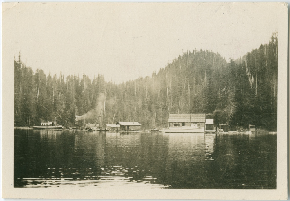 Allison's logging camp