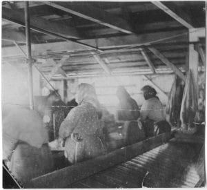 Indian women cleaning salmon in a cannery