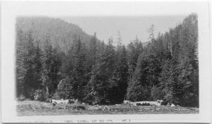 Small pox camp, Rivers Inlet