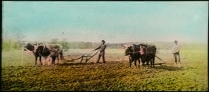 Workers ploughing a field