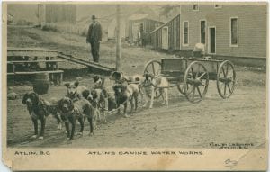 Atlin's canine waterworks